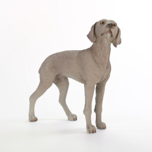 Weimaraner Figurine Hand Painted Collectible Statue - 第 1/1 張圖片