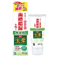 Fresh Leaves Medicated Toothpaste Mint 95g from Japan