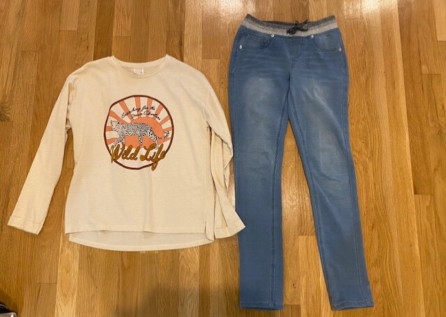Girls shirt and pants size 12