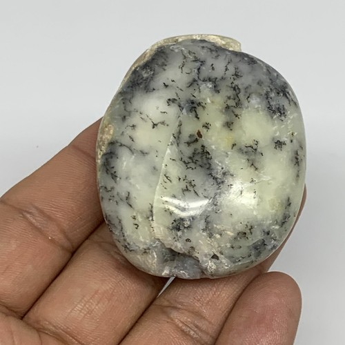 60.5g, 2.1"x1.7"x0.9" Dendrite Fern Agate Palm-Stone Reiki Energy Crystal Reiki, - Picture 4 of 12