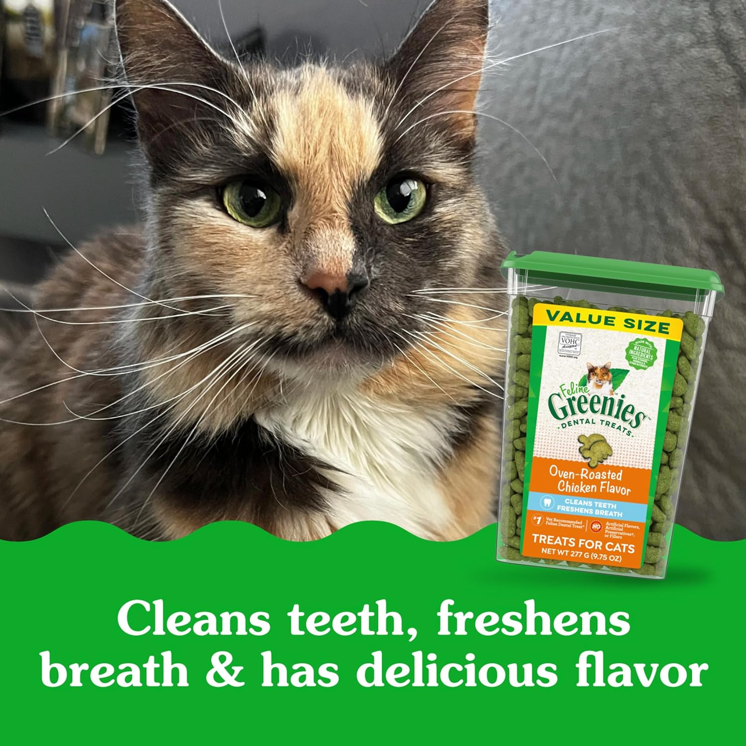 Greenies Feline Adult Dental Cat Treats, Oven Roasted Chicken Flavor, 9.75 oz.