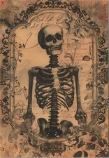 Vintage Style Skeleton Art Gothic Floral Frame Image Card Blank Back 4x6 New