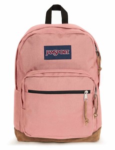 muted clay jansport backpack