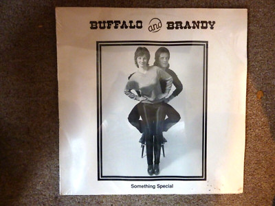 SOMETHING SPECIAL - BUFFALO AND BRANDY, FACTORY SEALED VINYL, SHELF WEAR