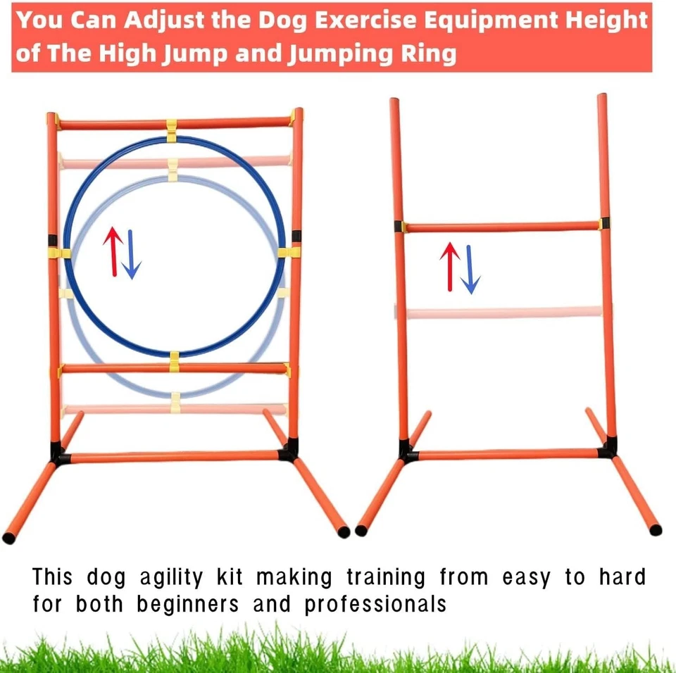 Juego de equipo de entrenamiento de agilidad para perros, kit de inicio de carrera de obstáculos para mascotas al aire libre Foto 3 de 4