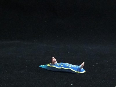Miniature Sea slug (blue) Figurine - Furuta