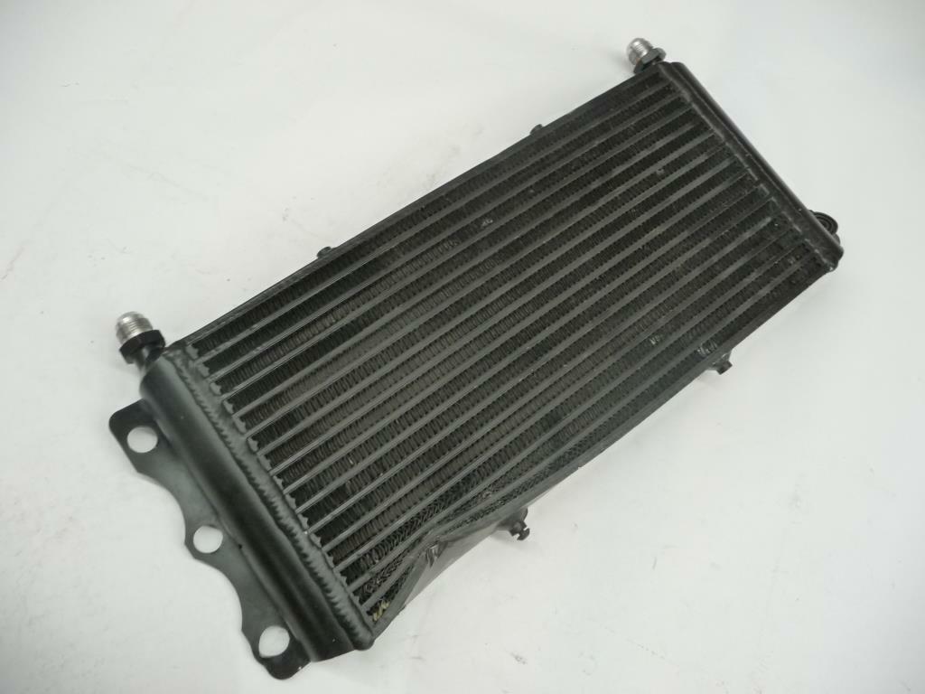 2016-2019 Audi R8 Sport Performance Oil Cooler Radiator 420-4S9317019 OEM Bended