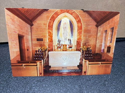 Shrine Chapel Our Lady Of The Snows Belleville Illinois Postcard