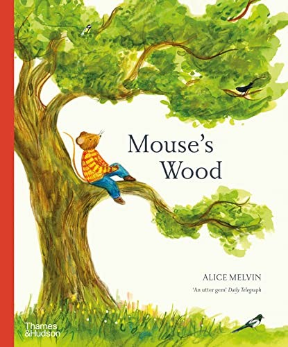 Alice Melvin - Mouse's Wood A Year In Nature - Paperback - 55 - G245Z-image