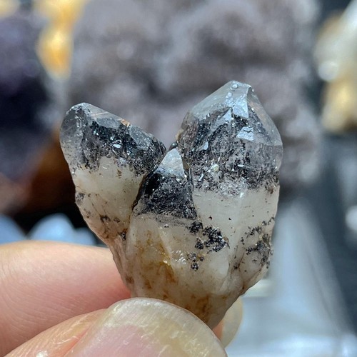 Rare NATURAL Clear Black Strawberry Crystal black mica QUARTZ Crystal specimen - Picture 5 of 12