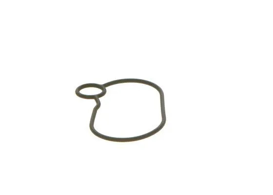 BOSCH 2 440 210 054 Anello di tenuta - Immagine 2