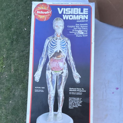 Skilcraft Kit Anatomia Donna Visibile Modello Anatomico con Scheletro, Organi - Foto 1 di 5