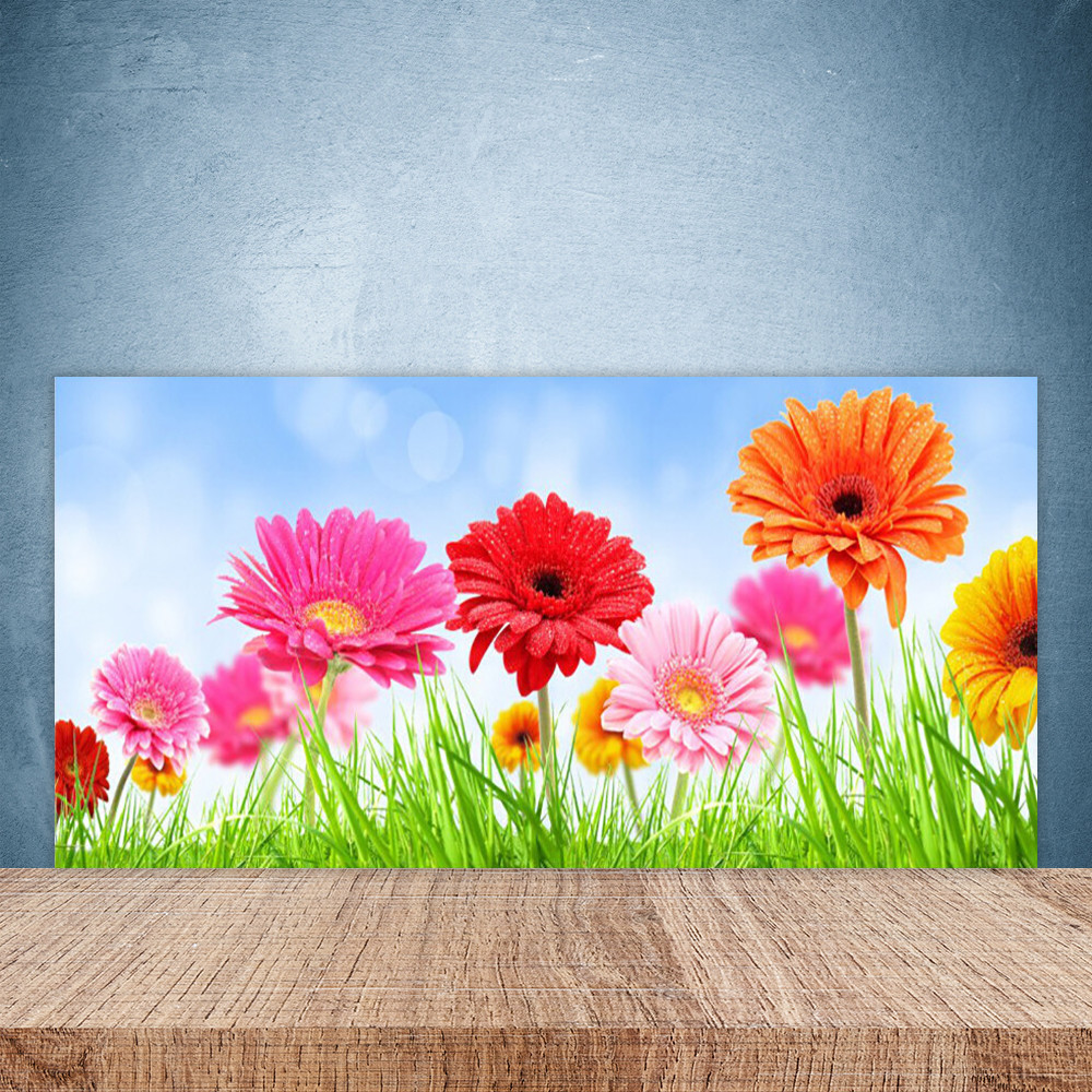 Crédence de cuisine en verre panneau mural 100x50 fond de hotte motif fleurs herbe