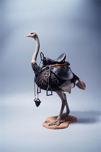 JXK 1/6 Ostrich Figure GK Animal Model Scene Decor Adult Children Toys Xmas Gift - Picture 16 of 17