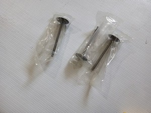 Pro-X Pro X 28.SIS2424-2 Steel Valve and Spring Kit Intake 28 SIS2424-2 16-9019