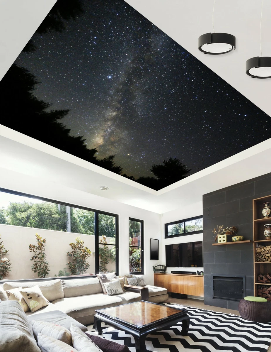 3D Night Starry Sky NA1171 Ceiling WallPaper Murals Wall Print Decal AJ US Fay