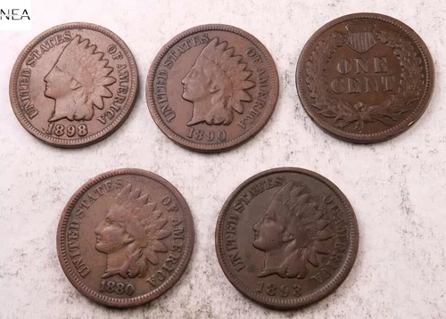 (1) 1800's Indian Head Penny ~ VG-Fine+ ~ 1859-1899 ~ 1 Coin