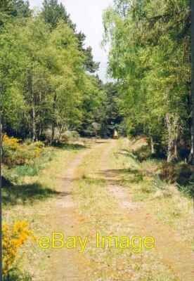 Foto 6x4 Dunrobin Woods Uppat wandert durch Dunrobin Woods in Richtung U c2006