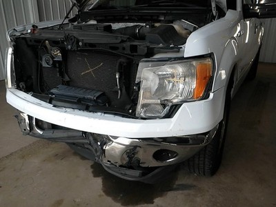 Driver Left Front Door Glass Fits 04-14 FORD F150 PICKUP 104974839