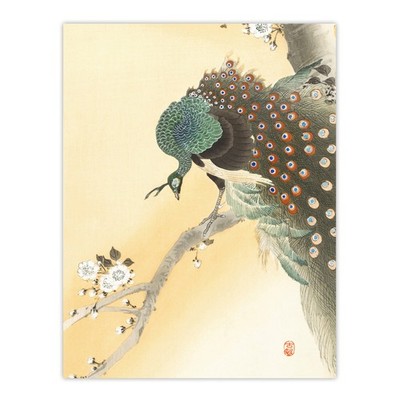 Pfau auf Kirschblütenbaum Retro Japan gerahmter Wandkunstdruck Koson