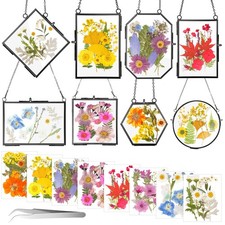 Barydat 8 Set Glass Pressed Flower Frames Gifts For Craft Home Decor,Black