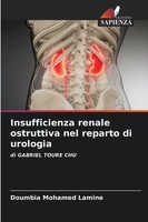 Insufficienza Renale Ostruttiva Nel Reparto Di Urologia Doumbia Mohamed Lamine