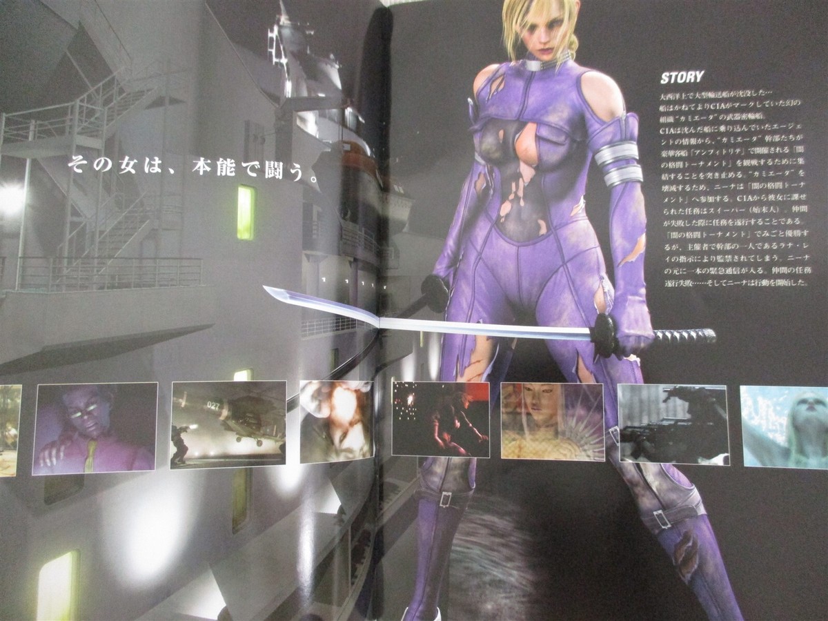 DEATH BY DEGREES TEKKEN NINA WILLIAMS w/Poster Art Book PS2 2005