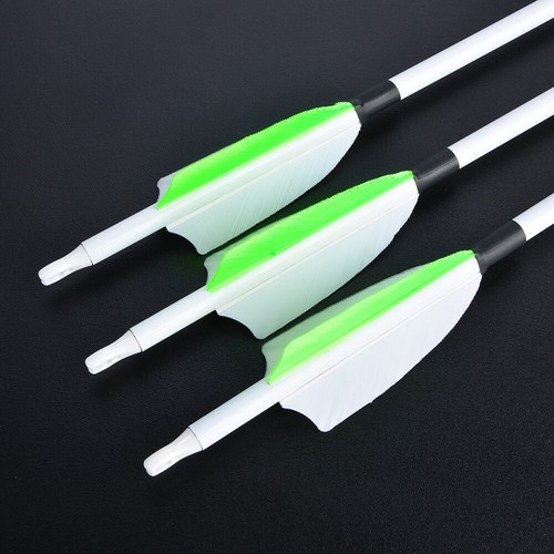 6/12 Archery Carbon Arrows 30" SP500 Feathers Tips Recurve Compound Bow Hunting - Picture 12 of 16