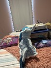 Pokémon Glaceon Plush Stuffed Animal, Blue & White Character Toy — photo 3