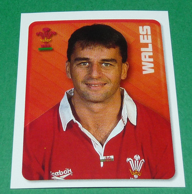 #167 HOWARTH WALES MERLIN IRB RUGBY WORLD CUP 1999 PANINI