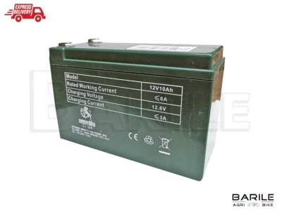 Batteria Litio Pompa a Spalla Irroratrice - Diserbo AUSONIA 12V -10 AH