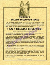 Rules In A Belgian Sheepdog's House