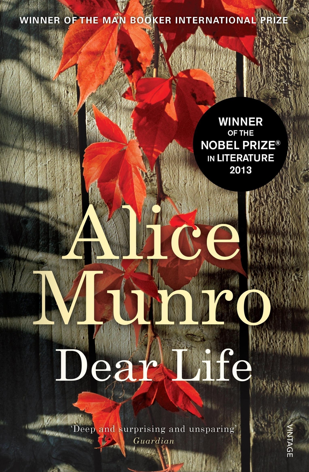Thumbnail - Dear Life, Alice Munro