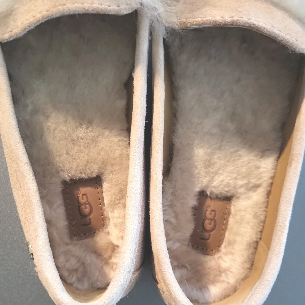 Disney uggs deals tinkerbell