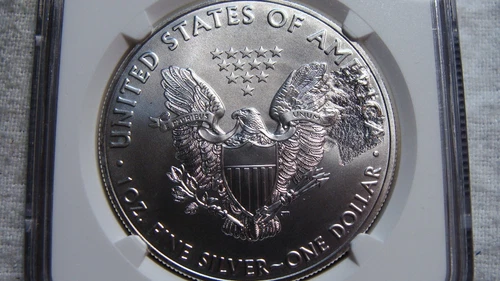 2018 American Silver Eagle "Strike Thru ERROR" NGC MS-69