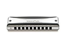 SUZUKI 10 hole harmonica Fabulous series F 20J C