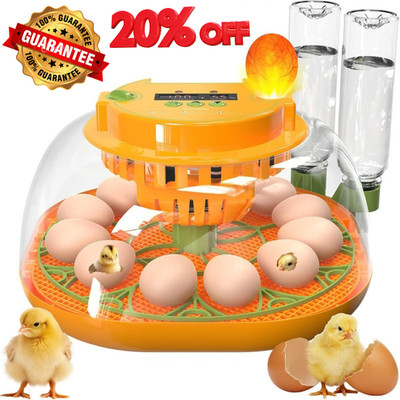 12 Egg Incubator with Automatic Egg Turning and Humidity Control