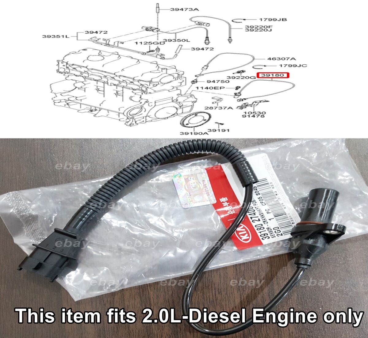 Crank Sensor for Kia Sportage 2013 on 2.0 CRANK ANGLE SENSOR Crank Sensor for Kia Sportage 2013 on 2.0 CRANK ANGLE SENSOR
