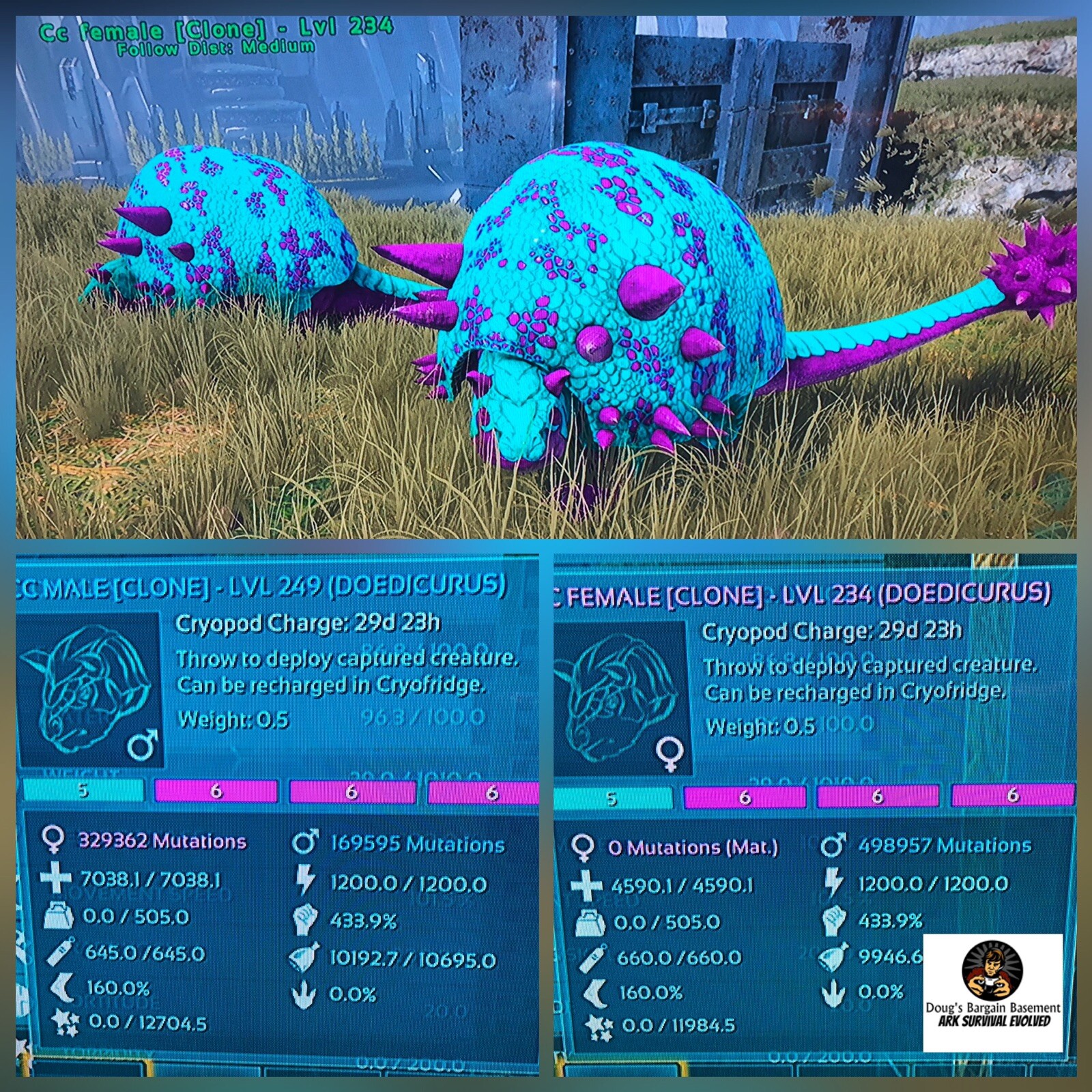 NEW Cotton Candy Doed Doedicurus Mating Pair Ark Survival Evolved