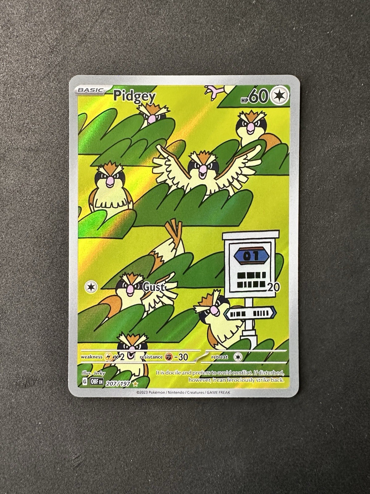 Pokémon TCG Pidgey Illustration Rare Card 207/197 Sv03: Obsidian Flames 2023
