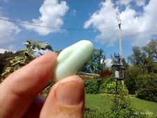 Genuine Sea Glass Beautiful green white color 6 gram