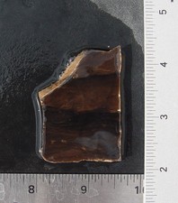 Brown Agate from Wyoming     Lapidary Slab                    T1451