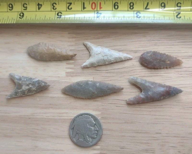 Neolithic Period  Arrowheads Sahara Desert Africa 3 Willow Leaf 3 Triangular 