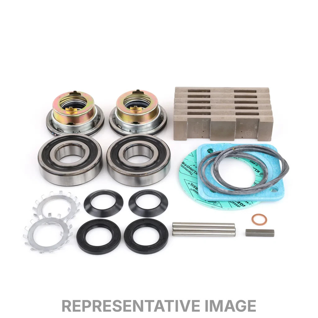 Blackmer 898951: Maintenance Kit TXD2.5A -(Buna) - Brand New