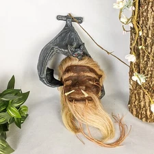 Shrunken Head reproduction Tsantsa by Local Tribesmen & Faux Bat Oddities
