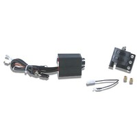 Malossi Cdi ZüNdbox Spule FüR Hm - Moto Cre 50 MBK X - Power Rieju Smx Beta RK6