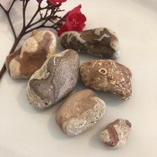 Pudding Stone, Terrazzo, Sea Rock, Sea Stone, Stone Decor, Fish Tank Decor, Rock