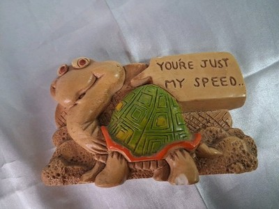 1975 Hanson House. inc turtle'' You're Just My Speed''