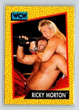 1991 Impel WCW #98 Ricky Morton