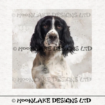 MOONLAKE DESIGNS Springer Spaniel schwarz weiß Stoff Basteln Paneele in 100% Baumwolle oder Polyester